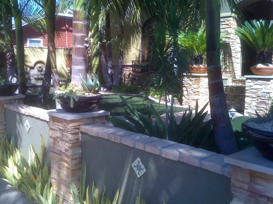 Garden with stone wall and palms