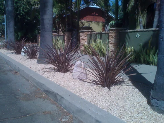 Low-water planting beside a garden wall