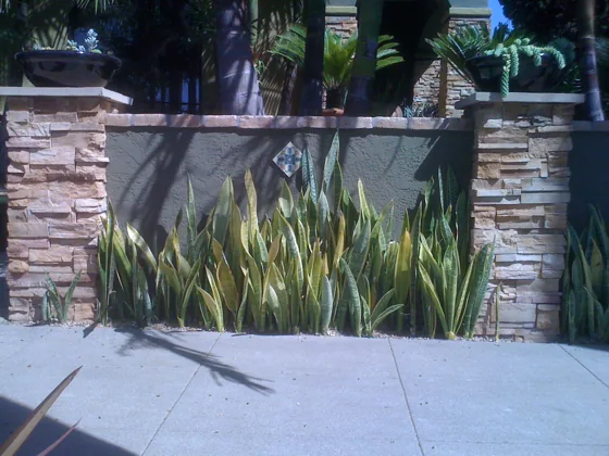 Stone columns and garden planting
