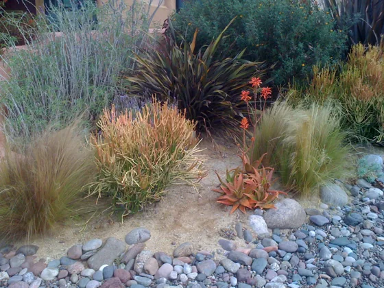 Ornamental grasses and rock garden