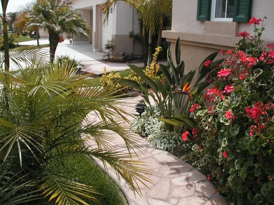 Paving through flowering garden beds
