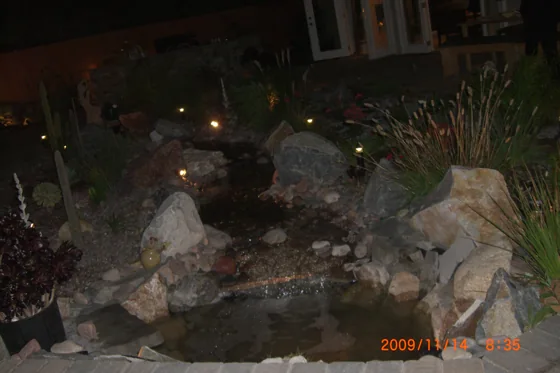Rock garden and water feature at night