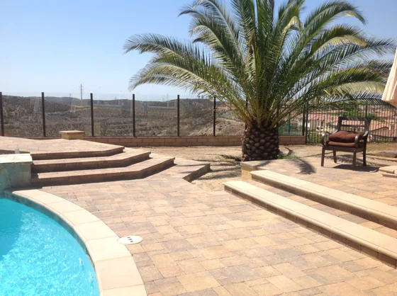Curved stone steps and palm