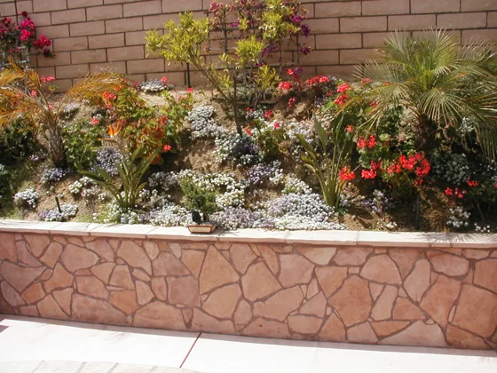 Stone retaining wall and planted slope