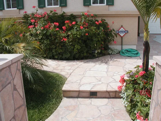 Curved paving and garden planting